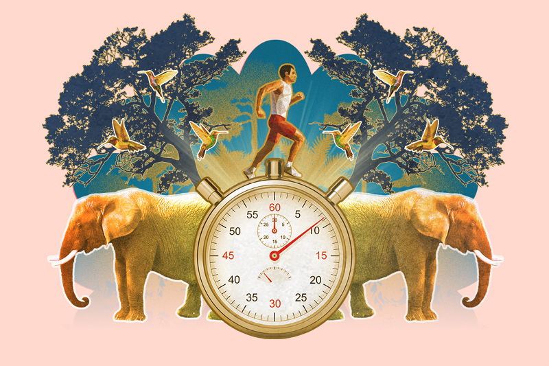 Családi vasárnap | Guinness-rekordok nyomában