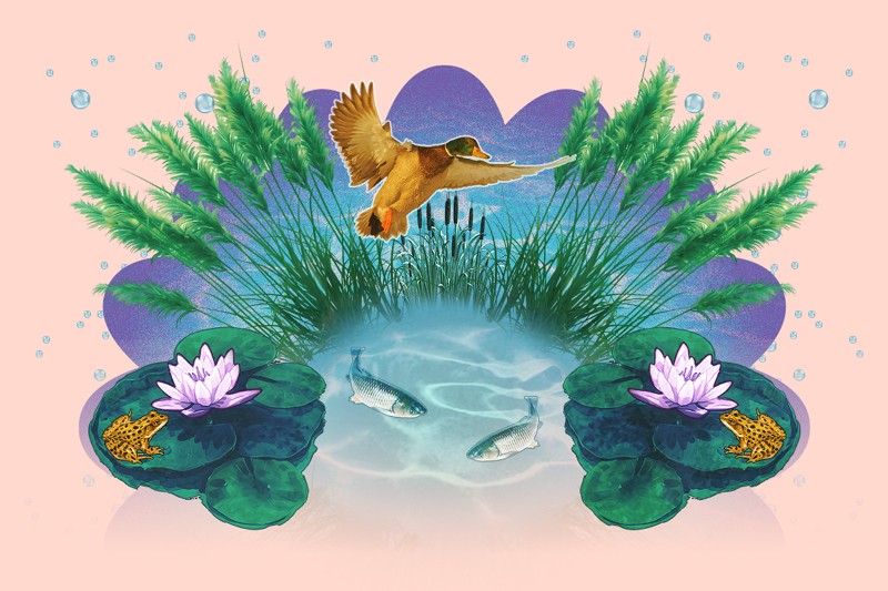 Színes családi vasárnap | A vizek lakói - interaktív játékok a Duna Múzeumból