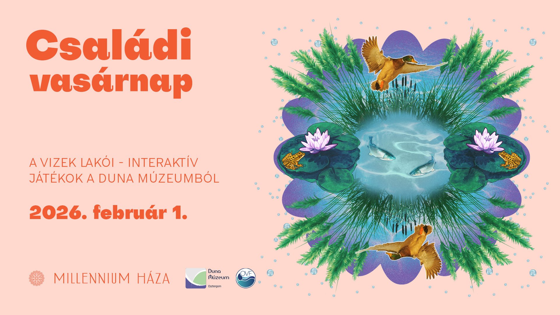 Színes családi vasárnap | A vizek lakói - interaktív játékok a Duna Múzeumból kép