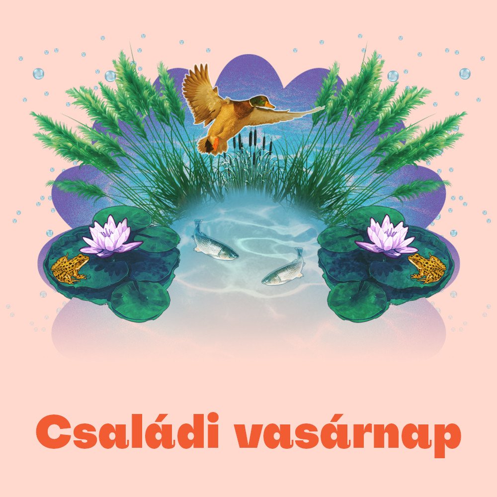 Színes családi vasárnap | A vizek lakói - interaktív játékok a Duna Múzeumból kép