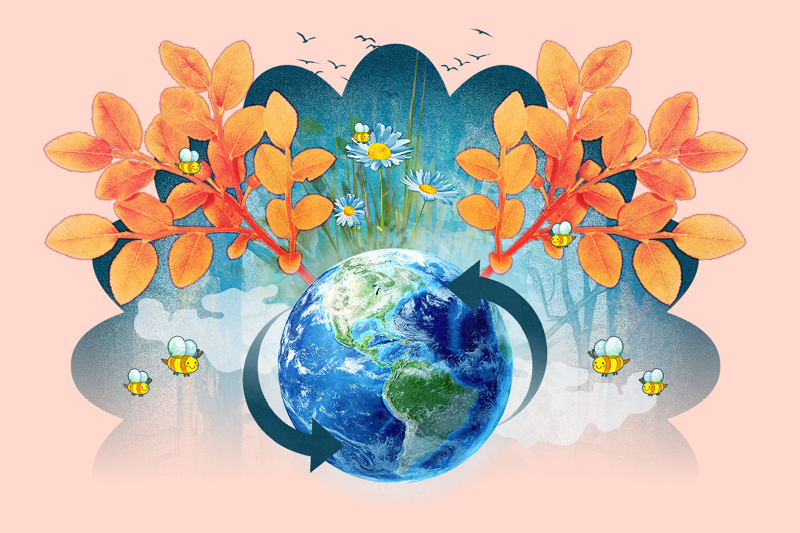 Családi vasárnap | Körforduló