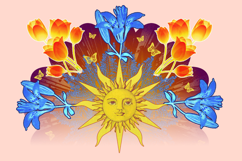 Családi vasárnap | Árnyak a fényben – fotogram készítés