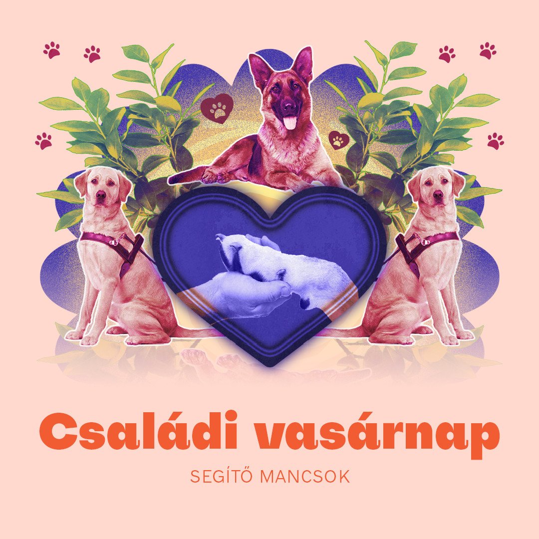 Színes családi vasárnap | Segítő mancsok kép