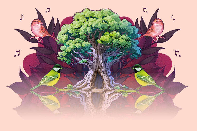 Családi vasárnap | Madarak és fák nyomában