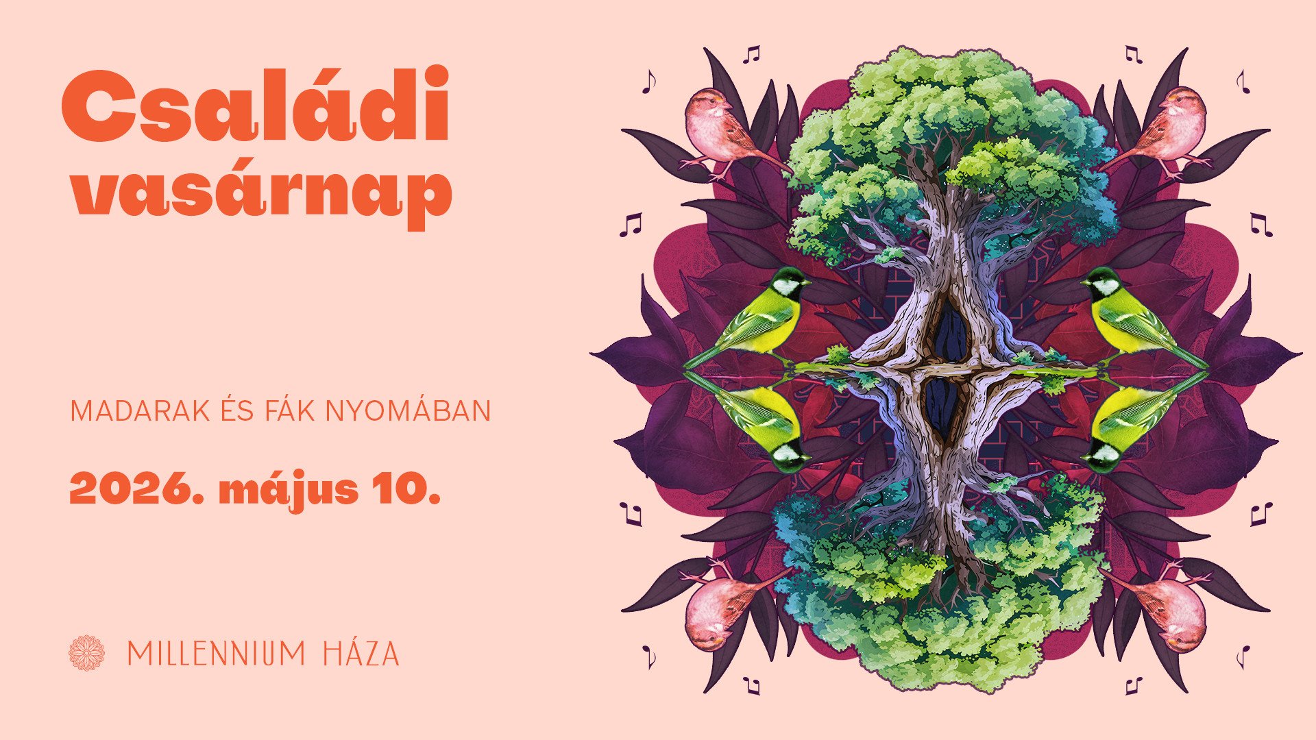 Családi vasárnap | Madarak és fák nyomában kép