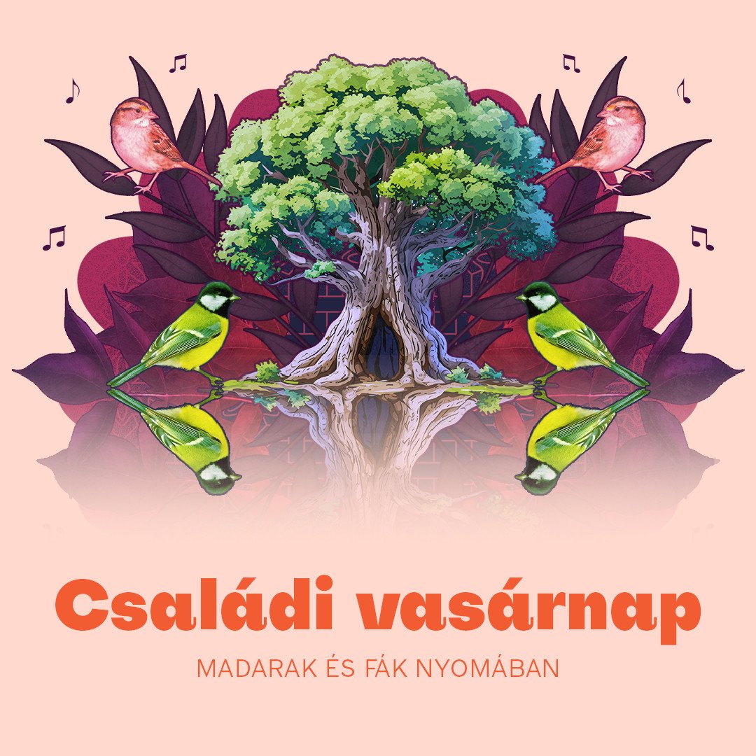 Családi vasárnap | Madarak és fák nyomában kép