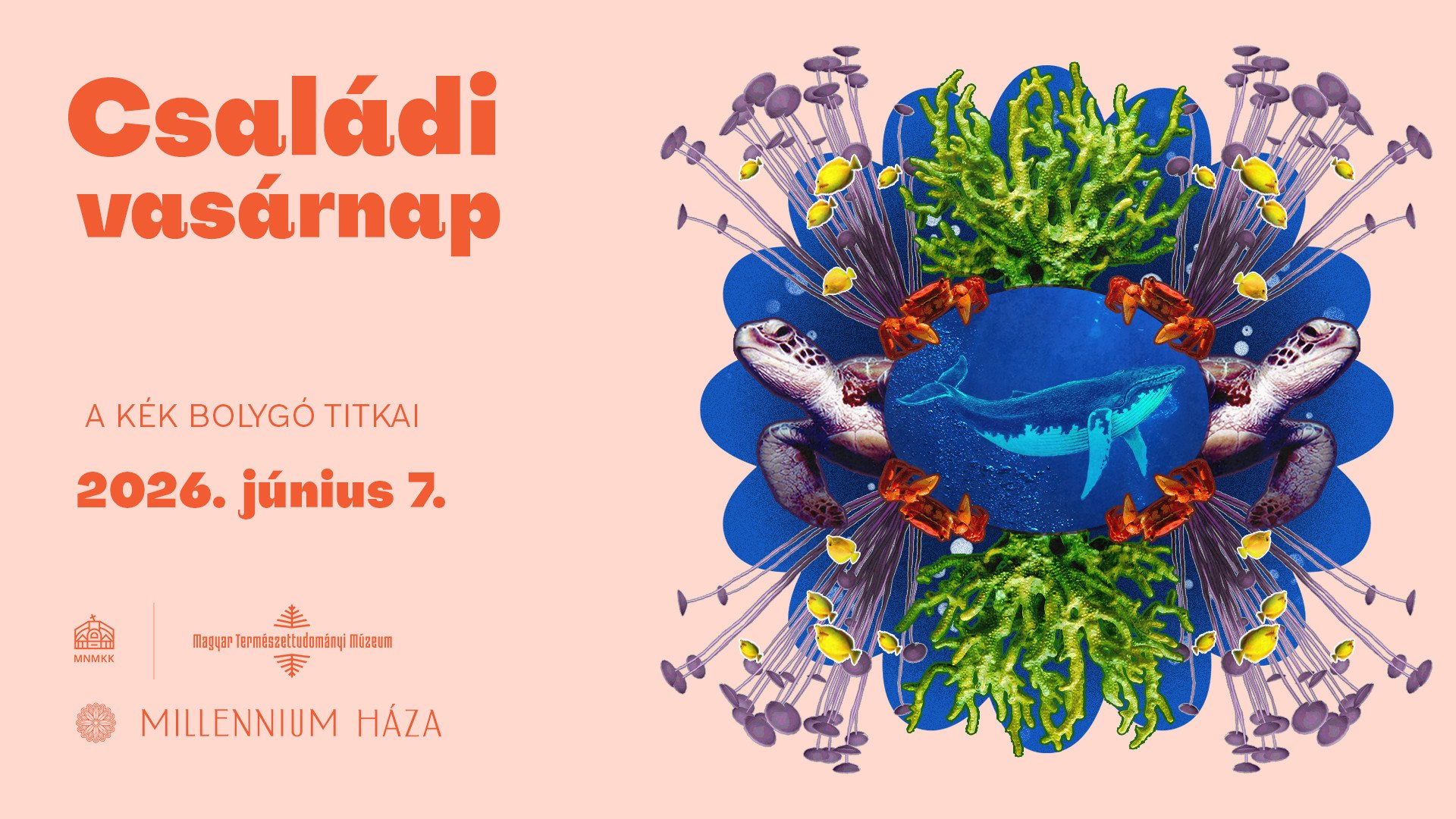 Családi vasárnap | A kék bolygó titkai kép