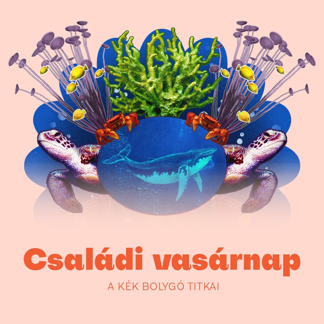 Családi vasárnap | A kék bolygó titkai kép